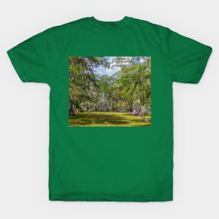 Swampy Bayou with Cypress Trees in Louisiana T-Shirt